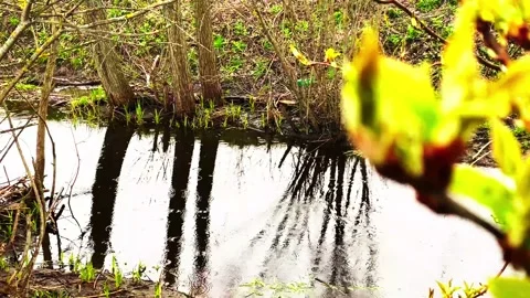 Rain 스톡 동영상 239451210