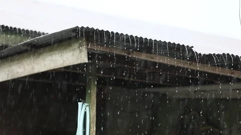 The Rain Stock Footage 240513069