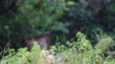 The Rain Stock Footage 240513837