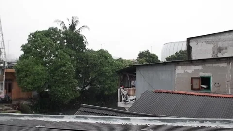 Rain 動画素材 245104988