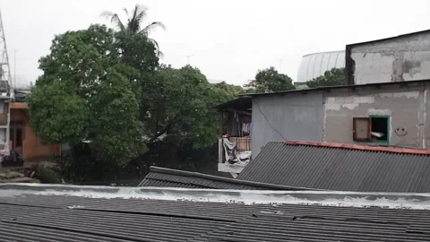 Rain 動画素材 245105008