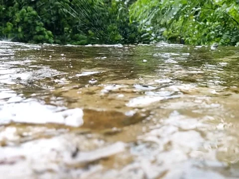 RAIN Stock Footage 246620037