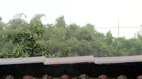 Rain Stock Footage 247298777