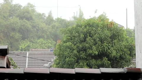 Rain Stock Footage 247298784