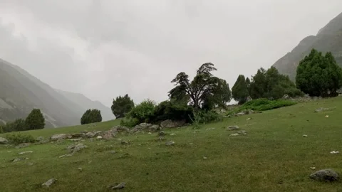 Rain Stock Footage 247394940