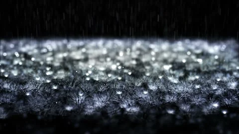 Rain Stock Footage 249285889