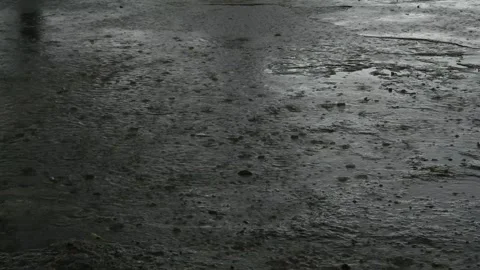 Rain Stock Footage 258842873