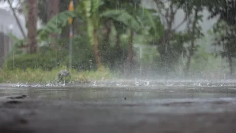 Rain Stock Footage 261807803