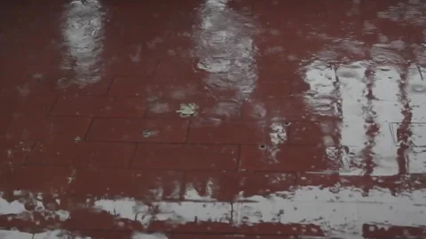 Rain Stock Footage 265170780