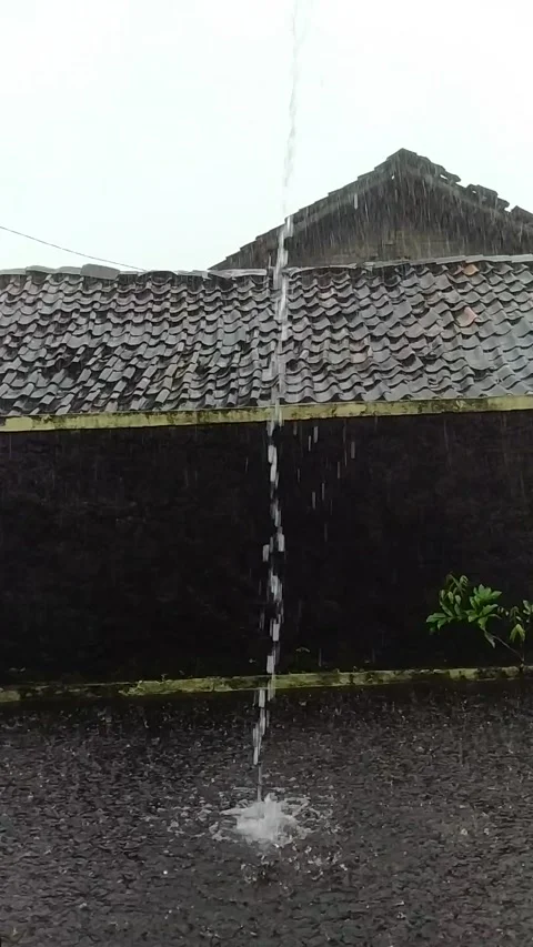 Rain Stock Footage 265184605