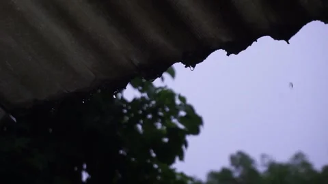 Rain Vídeos de archivo 265397297
