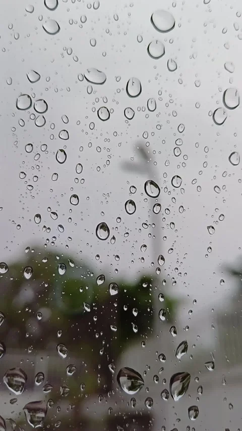 Rain Stock Footage 276248203