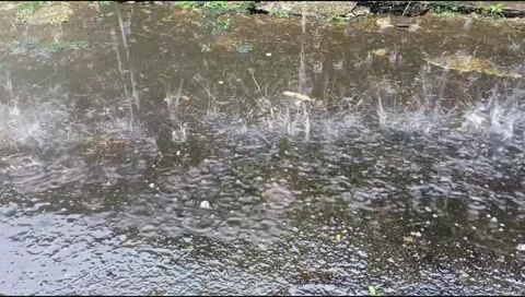 Rain  Stock Footage 295092713