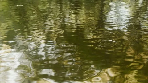 Rain Video stock 296675028