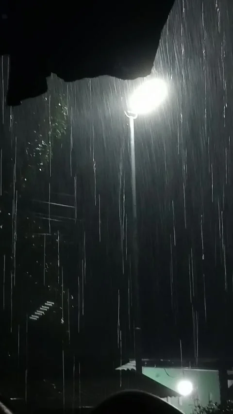 Rain Stock Footage 297429408