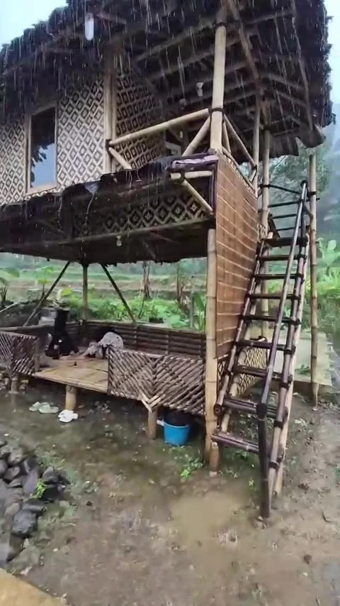 Rain Stock Footage 307193754