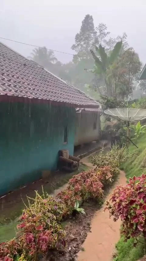 Rain Stock Footage 307193852