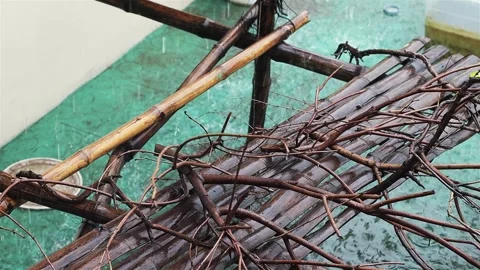 Rain Stock Footage 308008914