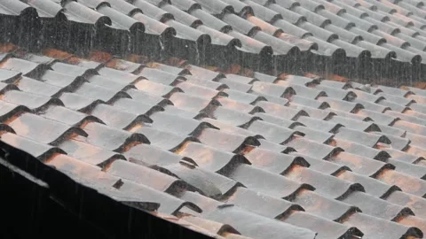 Rain Stock-Footage 308962623