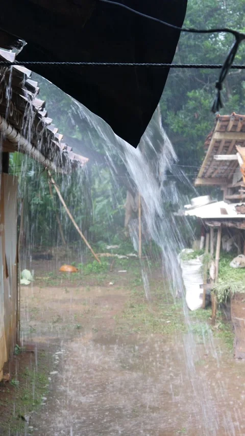 Rain Stock Footage 308962653
