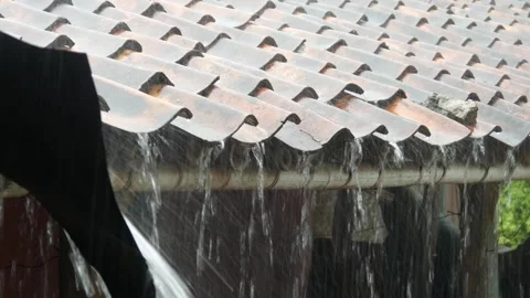 Rain Stock Footage 308962727