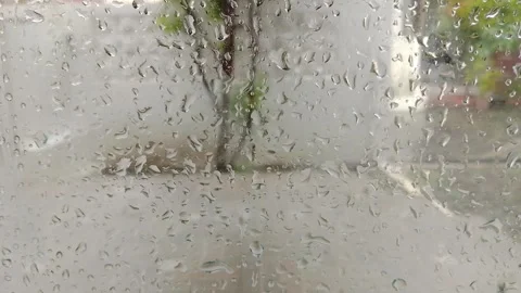 Rain Stock Footage 309951049