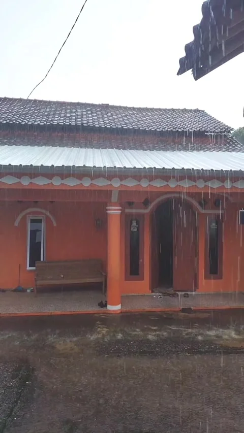 Rain Stock Footage 311072964