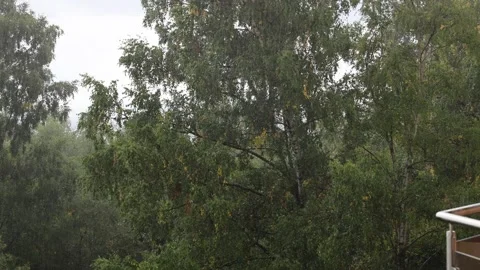 Rain 스톡 동영상 324966340