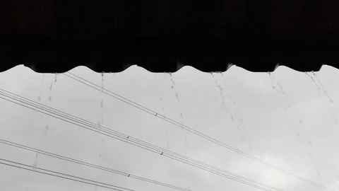 Rain Stock Footage 335803349