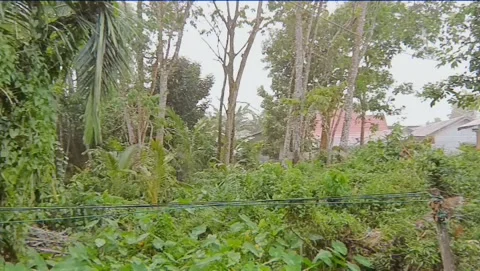 Rain footage Stock Footage 190305410