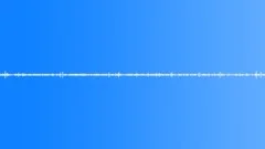 Rain forest 03 loop Sound Effect