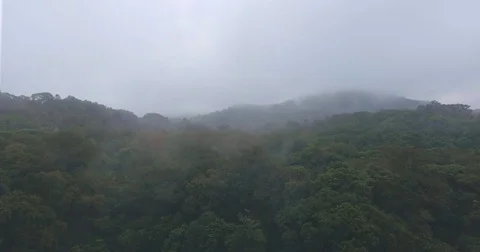 Rain Forest Aerial fly-through   動画素材 72146127