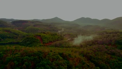 RAIN FOREST IN BORNEO 11 Stock Footage 247870919