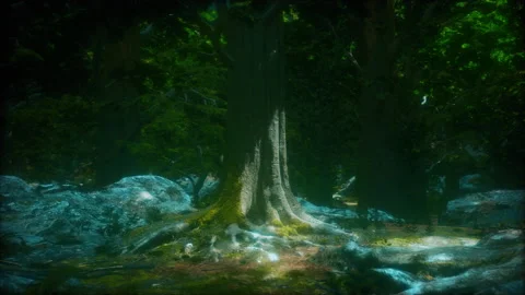Rain forest in Central America Stock Footage 236416643