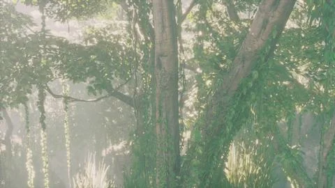 Rain forest in Central America Stock Illustration