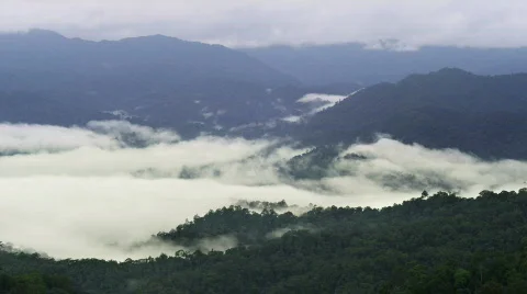 Rain forest clouds time-lapse nr 5 스톡 동영상 436608