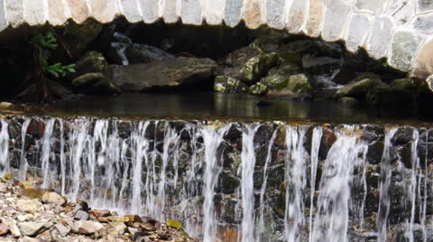 Rain forest creek  under small pedestrian stone bridge  - El Yunque 1 Stock Footage 23630875