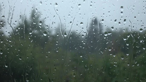 Rain forest defocused landscape behind wet glass. Water drops on window. Video stock 100238325