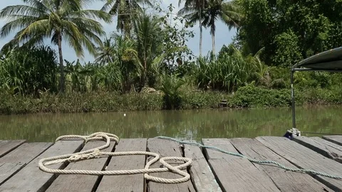 Rain Forest 動画素材 101493109