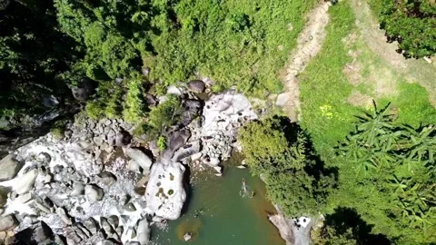 Rain Forest Ground to Sky Drone View Stock Footage 202074515