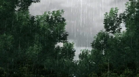 Rain in the forest jungle - Video Background Stock-Footage 34218871