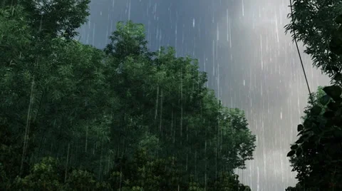 Rain in the forest jungle - Video Background Stock Footage 34219201