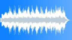 Rain Forest Stock Music
