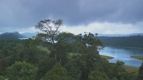 Rain Forest Pond On A Cloudy Dlay 動画素材 71822812