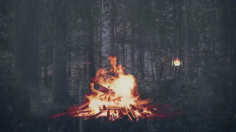 Rain Forest, rain set up the fire Stock Footage 194911103