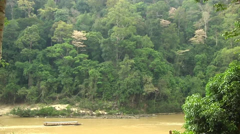 Rain forest with River Stock Footage 41381895