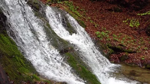 Rain forest riverwaterfall. Cascading waterfall in green forest. Stock-Footage 150595190