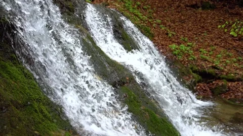 Rain forest riverwaterfall. Cascading waterfall in green forest. Stock Footage 150595197