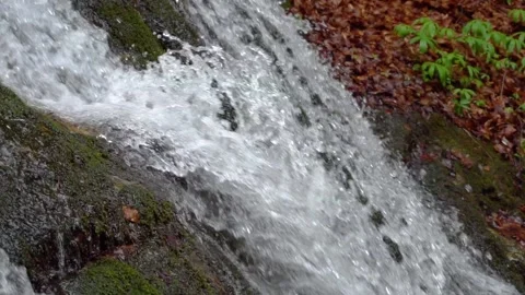 Rain forest riverwaterfall. Cascading waterfall in green forest. Stock-Footage 150595247