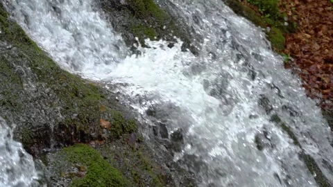 Rain forest riverwaterfall. Cascading waterfall in green forest. Stock Footage 150595303